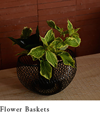 Flower Baskets